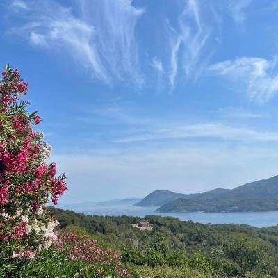 Sea View From Garden